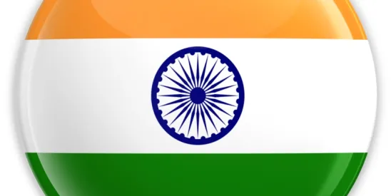 India DLG Guidelines And Frameworks