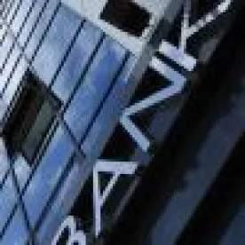 Banks and Diversity