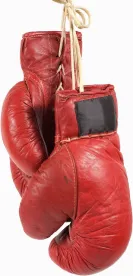 boxing gloves