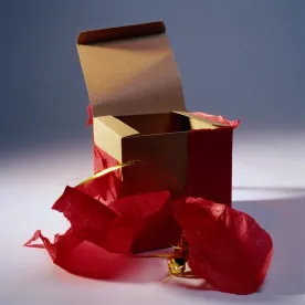Thanksgiving Treat: Executive Branch Gift Rules in for Rewrite