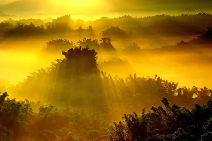 Generic Top Level Domains - Current Sunrise  Periods Open - September 2014 Updat