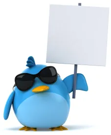 Twitter Bird