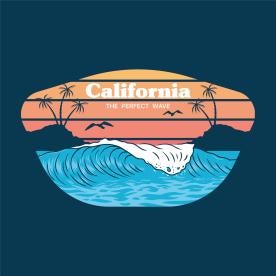 California Shelter in Place Order