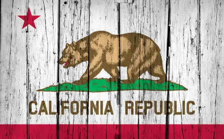 California Flag: Employment Law Notes