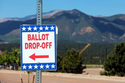 Voting for felons