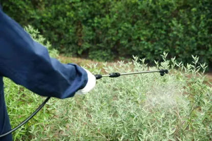 Pesticide Spraying in a Field