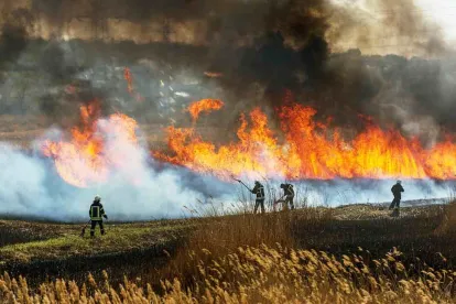 ​​​​UN Climate Report