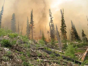 CFTC releases Report on Financial Market and Climate Change Impact