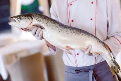 Fish and a chef