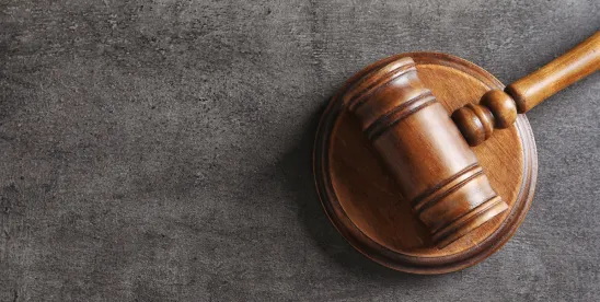 FCRA Litigation
