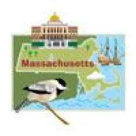 Bill, Massachusetts, House of Representatives, Non-compete. 