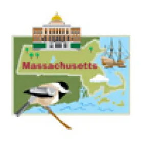 Massachusetts Court: Patients Have Standing to Sue for Data Breach Based on Data Exposure Alone