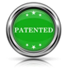 Fujitsu Semiconductor v. Zond: Decision Granting Petitioner Page Extension IPR20