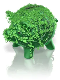 green piggy, green fintech, fca