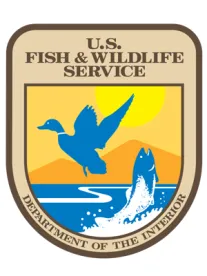 Sage-Grouse Rider Frustrates Conservation Efforts