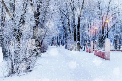 Winter Storm