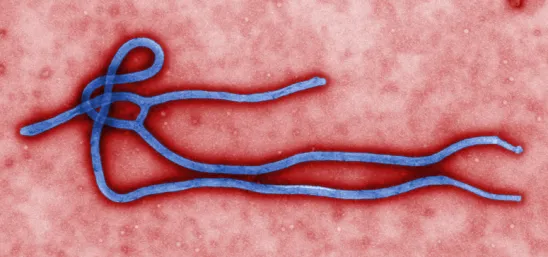 Ebola Strikes