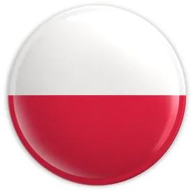 Polish Freedom of Speech on Social Media Platforms