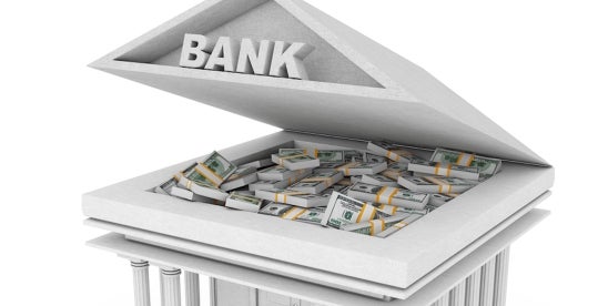 Financial Institutions and Climate and Biodiversity Shocks