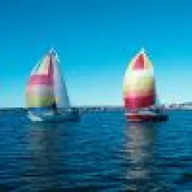 2020 Boat Injury Report from the U.S. Department of Homeland Security Coast Guard