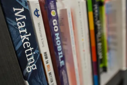 Fiction Copyright Protection