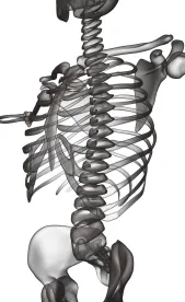 Skeletons in the Closet? Beware of Potential Enforcement Actions