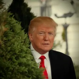 Trump EO on Unemployment Insurance