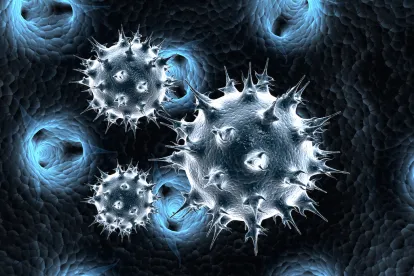Ebola Worries and the Workplace – What Can Employers Do?";
