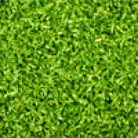 Astroturf