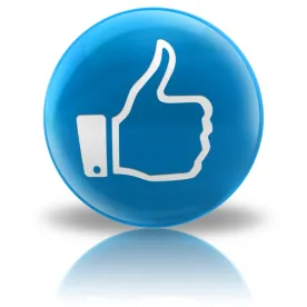 Facebook Like