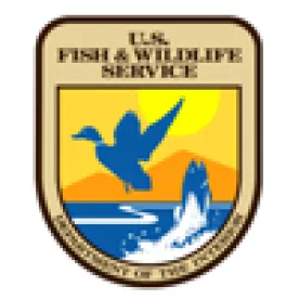 FWS Proposes Conservation Measures Monarch Butterfly 