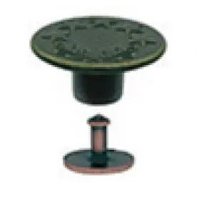 Clothing Button