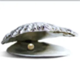 Oyster with Pearl