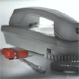 Telephone and Plessor
