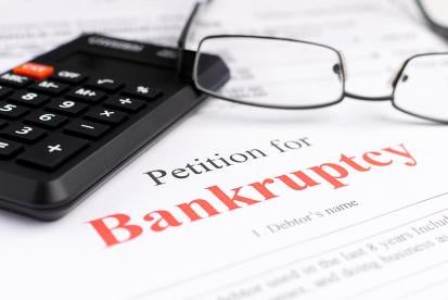 Chapter 11 bankruptcy filings,  Chapter 7 bankruptcy filings, Moon Landscaping bankruptcy, Ex-Cell Home Fashions bankruptcy, 