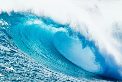 Cape Cod Coastal Water In Danger Due To Sewage Disposal System