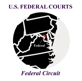 Federal Circuit Court Patent Infringement Damages 