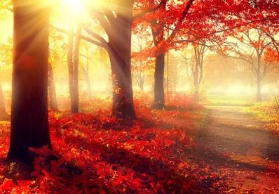 Autumn, Human Carcinogens, Antimicrobial Pesticides, Cross-State Air Pollution: Federal Law Updates for Chemical Law and Science 