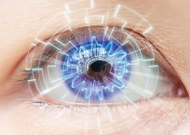 biometric eyeball information gathered from a lens reader in NYC