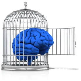 Accelerated Atrophy of the Brain Following Traumatic Brain Injury