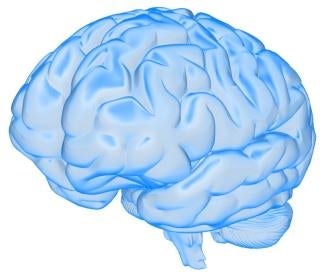 Brain, What Happens When Brain is Concussed