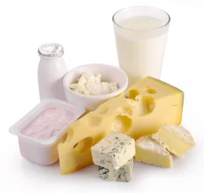 cheese products 