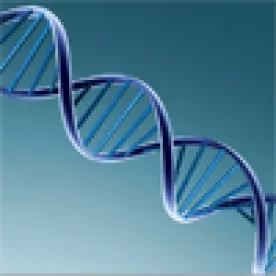 DNA, Strand