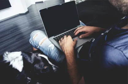 Dog Work, Pet Policies at Work: Considerations for Employers