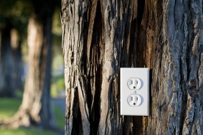 tree in the forest with a convenient electrical outlet to charge your COVID-19 thermometer
