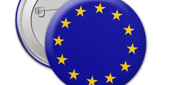 EU pin