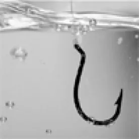 Fish Hook, Employers Beware of Phishing Scams
