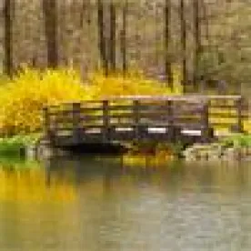 N.C. General Assembly Is Actively Revisiting Riparian Buffer Rules 
