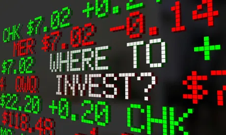 shareholder, voting rights, parental companies, liability, eu