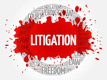 Voluntary Disclosure in Civil Cases 